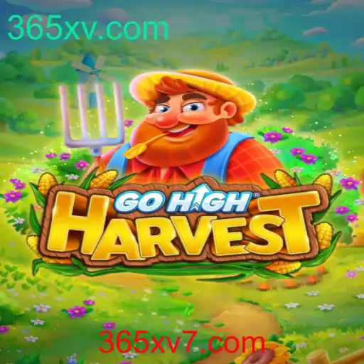 Descubra o Fascinante Mundo de GoHighHarvest: Um Olhar Profundo no Jogo da Moda